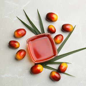 زيت النخيل (Palm Oil)