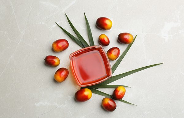 زيت النخيل (Palm Oil)