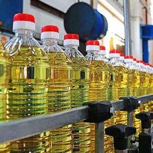 بيع زيت CBE الفاخر ماركة Fuji Oil بشهادة حلال