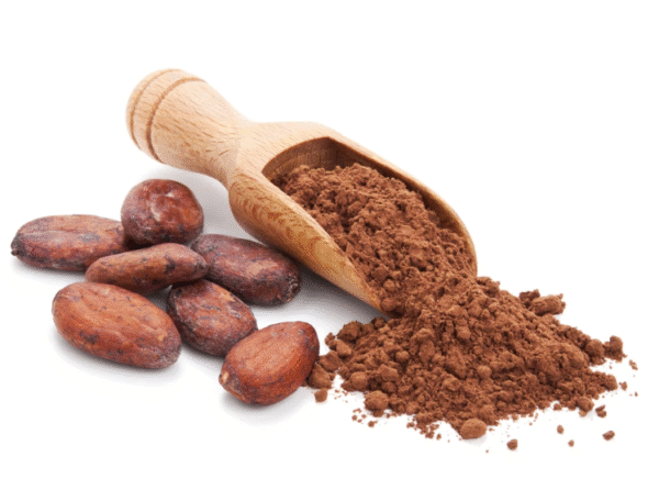 بيع حبوب كاكاو محمصة خفيفة ماركة Barry Callebaut بجودة ممتازة