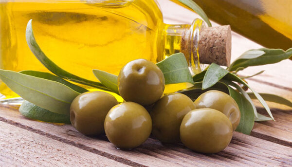 بيع زيت زيتون طازج من الحصاد الأول