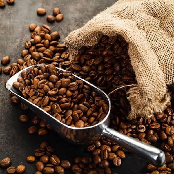 بيع قهوة مختصة من مزارع معتمدة عالميًا