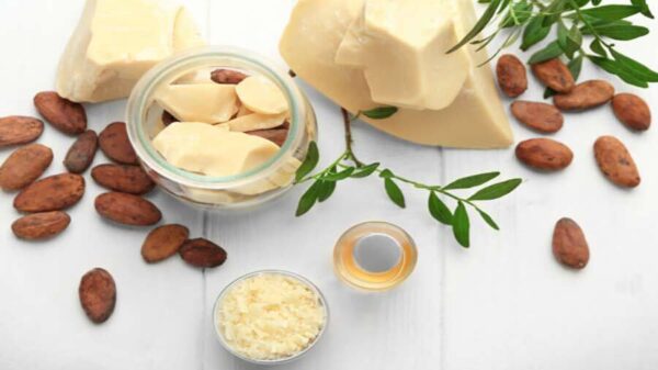 توريد زبدة الكاكاو العضوية للاستخدامات التجميلية والطبية