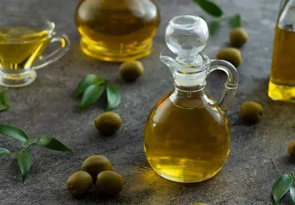 توريد زيت زيتون عضوي طبيعي للمطاعم الصحية