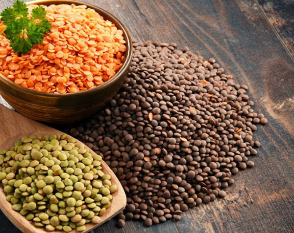 توريد عدس أحمر وأخضر بجودة تصديرية