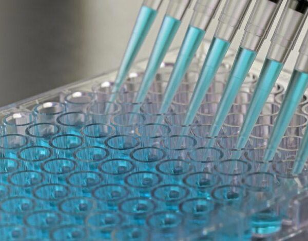 توريد مادة مضادة للأكسدة (E306) مع شهادة تحليل
