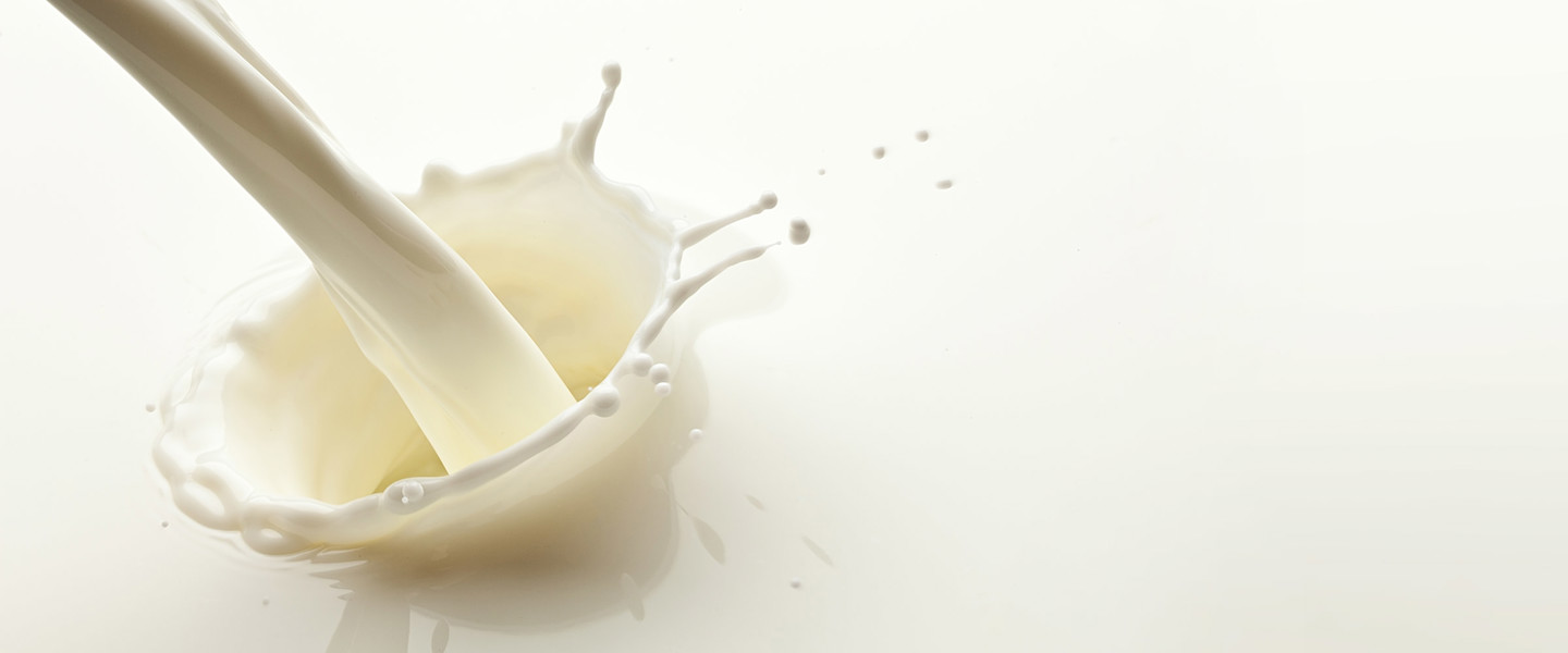 حليب ارلا مجفف 25 كيلو