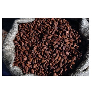 مورد حبوب كاكاو محمصة داكنة ماركة JB Cocoa