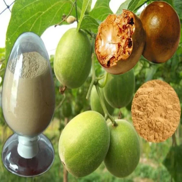 مورد مستخلص فاكهة الراهب (مونك فروت) ماركة Layn Natural Ingredients