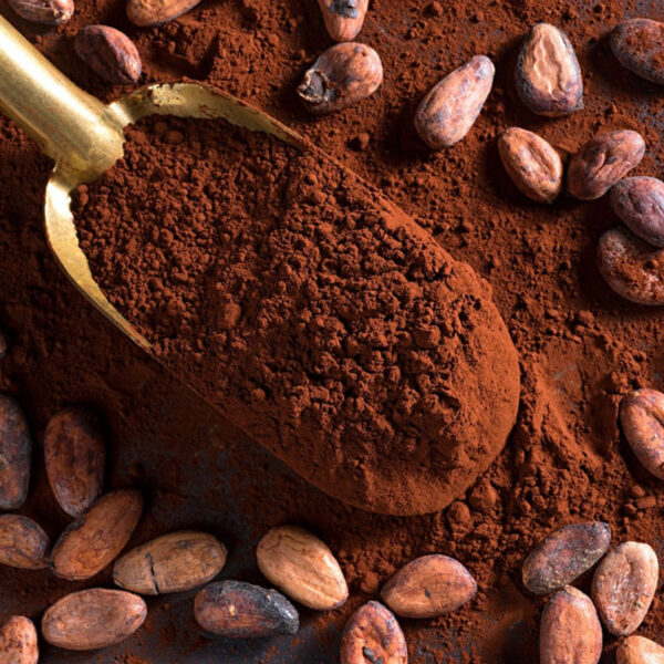 مسحوق كاكاو ألكالايز لتجار الجملة في المغرب بأسعار منافسة