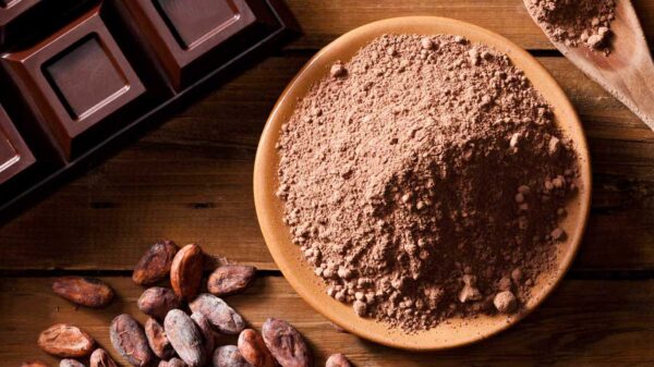 Bensdorp بينسدروب 10/12 MR – قلوية متوسطة