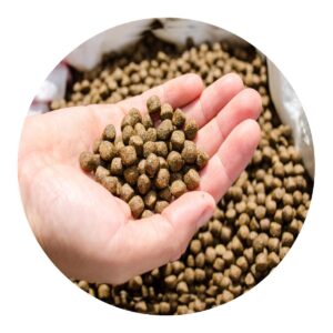 علف أسماك خالٍ من المواد الكيميائية