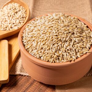 بيع الشعير – Barley