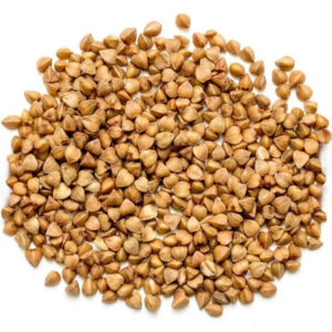 بيع بروتين الحنطة السوداء – Buckwheat Protein