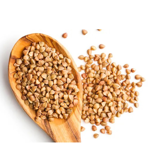 بيع بروتين الحنطة السوداء – Buckwheat Protein