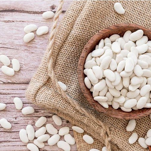 بيع بروتين الفاصوليا