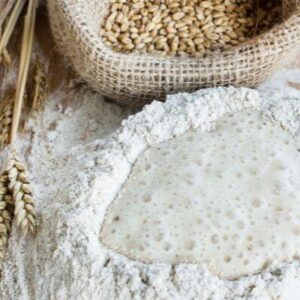 بيع بروتين القمح – Wheat Protein