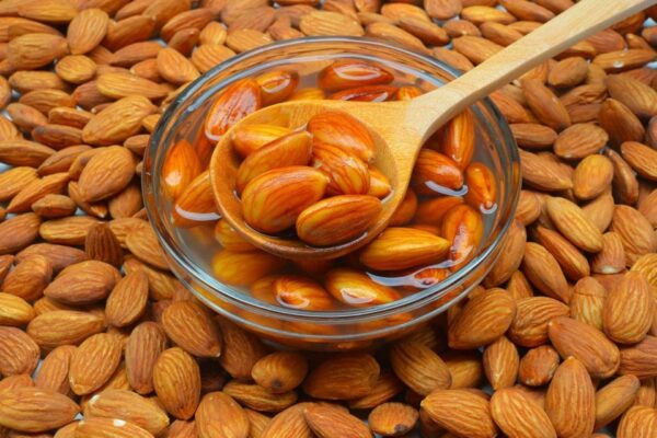 بيع بروتين اللوز – Almond Protein