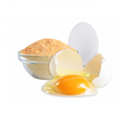 بيع بروتين بياض البيض – Egg White Protein (Albumen)