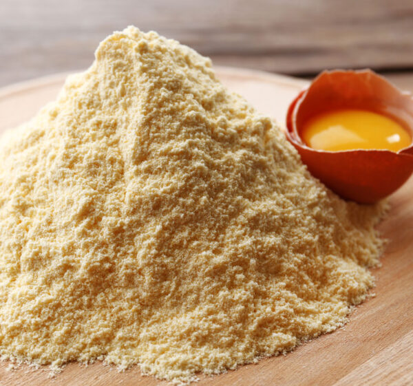 بيع بروتين صفار البيض – Egg Yolk Protein