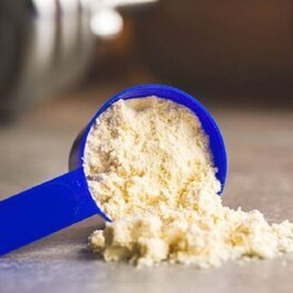 بيع بروتين مصل اللبن المركز – Whey Protein Concentrate