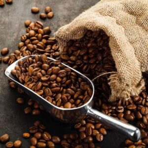 بيع قهوة بلو ماونتن – Blue Mountain Coffee