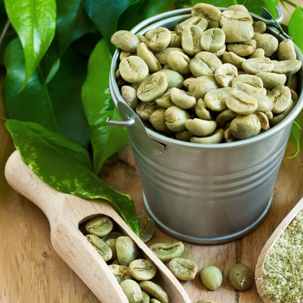 بيع قهوة خضراء