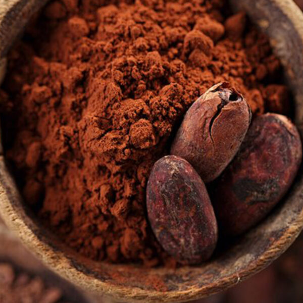 إجراءات الجمارك لاستيراد الكاكاو من تركيا إلى مصر