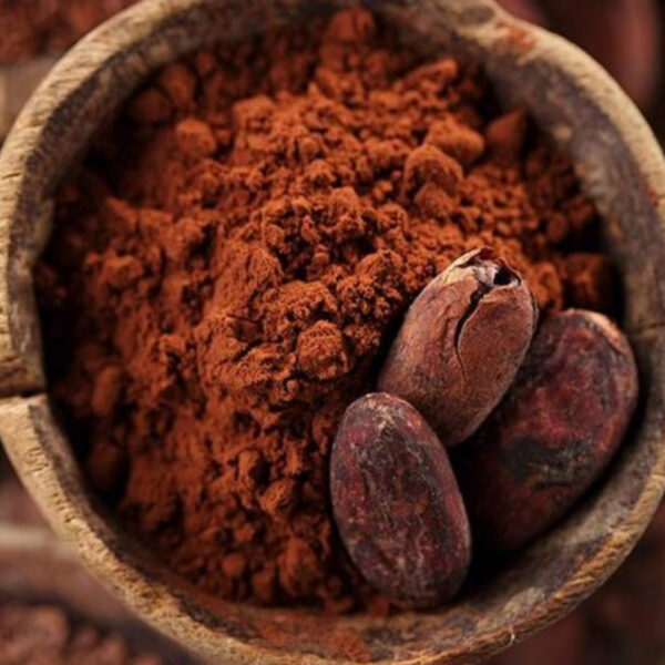 بودرة الكاكاو القلوية للمصنعين في مصر