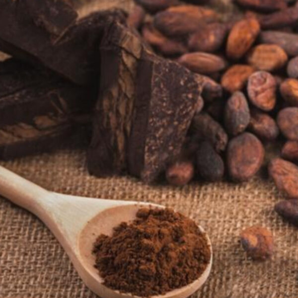 بودرة الكاكاو القلوية للمصنعين في مصر