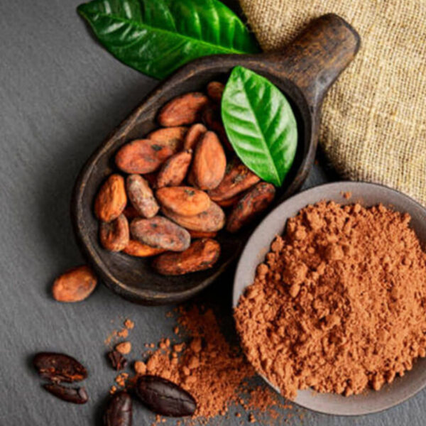 أين تشتري أفضل بودرة كاكاو قلوية؟