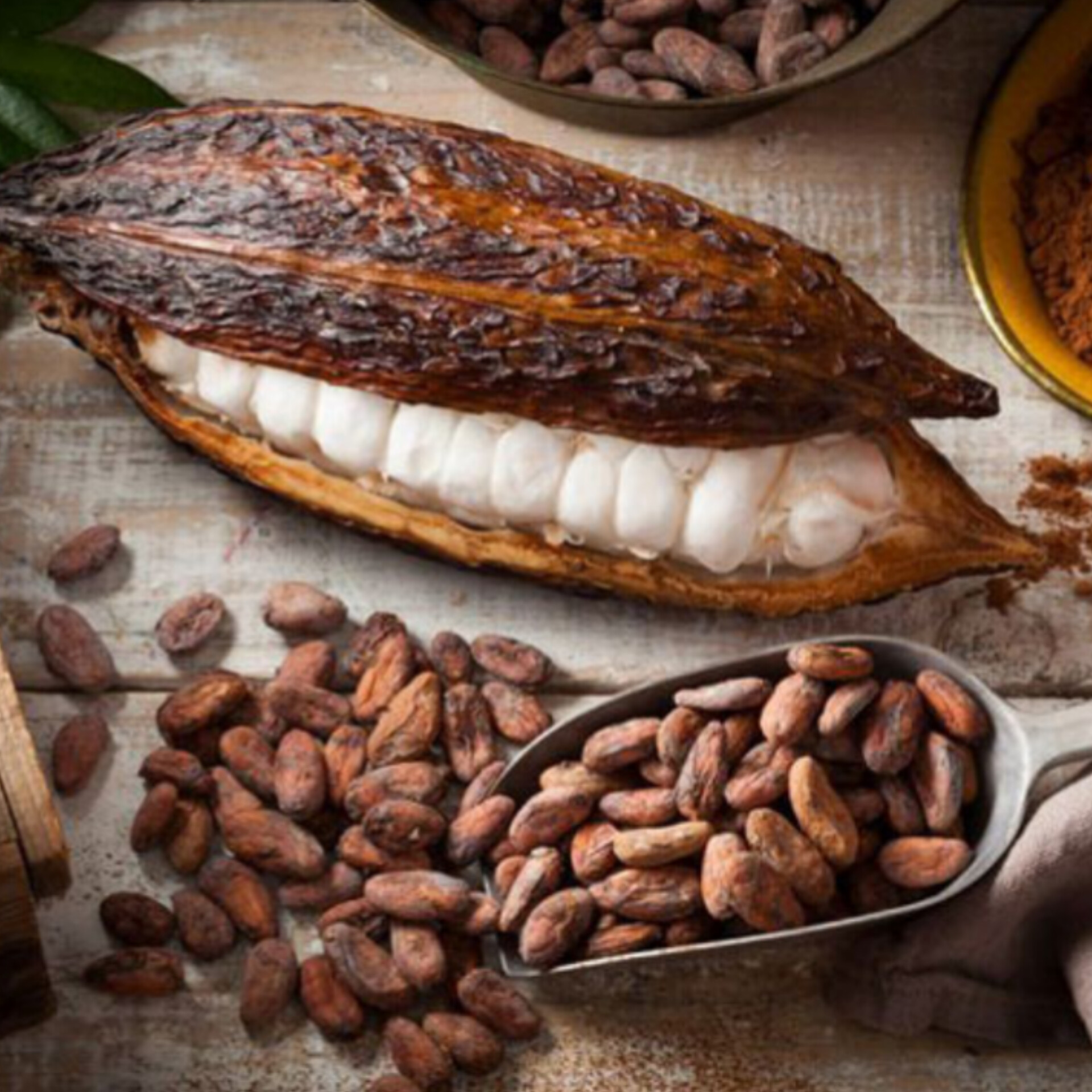 أين تشتري أفضل بودرة كاكاو قلوية؟