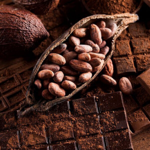 أين تشتري أفضل بودرة كاكاو قلوية؟