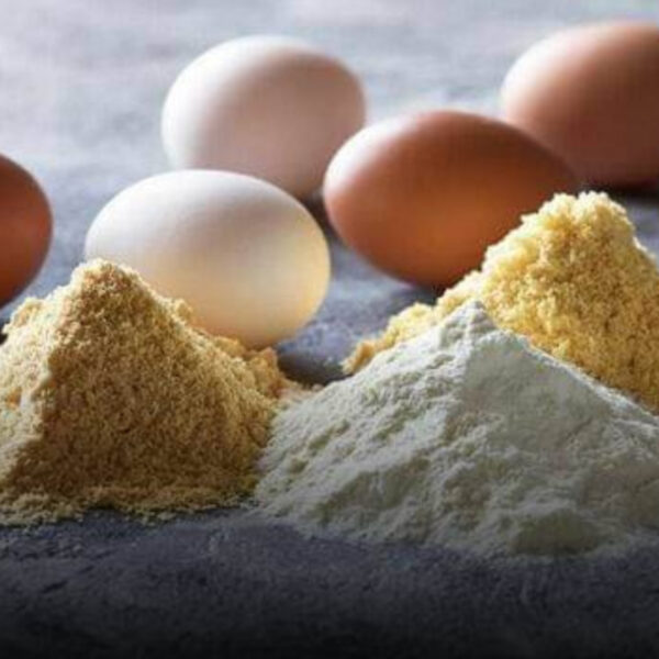 توريد بودرة البيض المجفف – ماركة Bouwhuis | توريد صناعي للأغذية