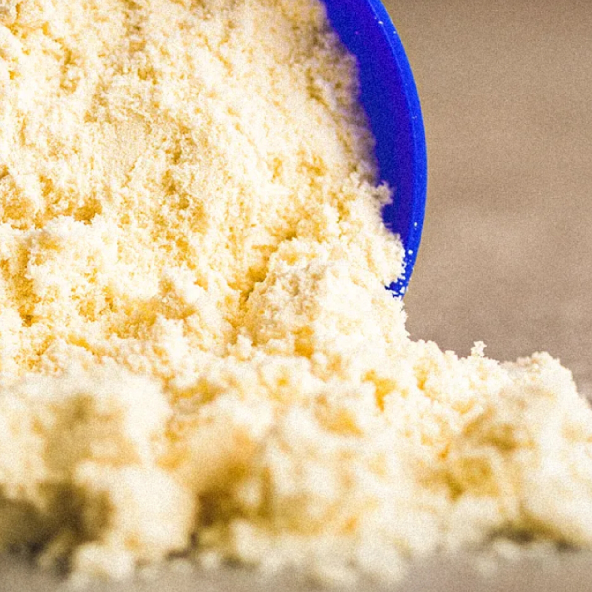 توريد بروتين مصل اللبن المركز – ماركة Hilmar | جودة عالية للبروتينات