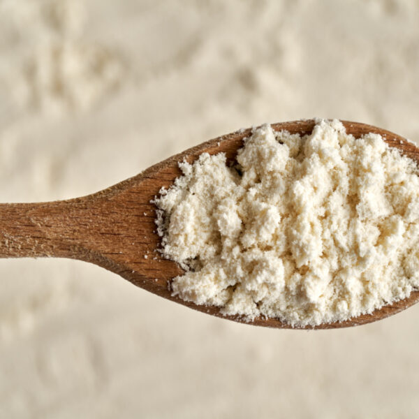 توريد بروتين مصل اللبن المركز – ماركة Hilmar | جودة عالية للبروتينات