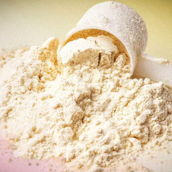 موزع مسحوق مصل الحليب الحلو – ماركة Pastino | توريد مباشر للمصانع