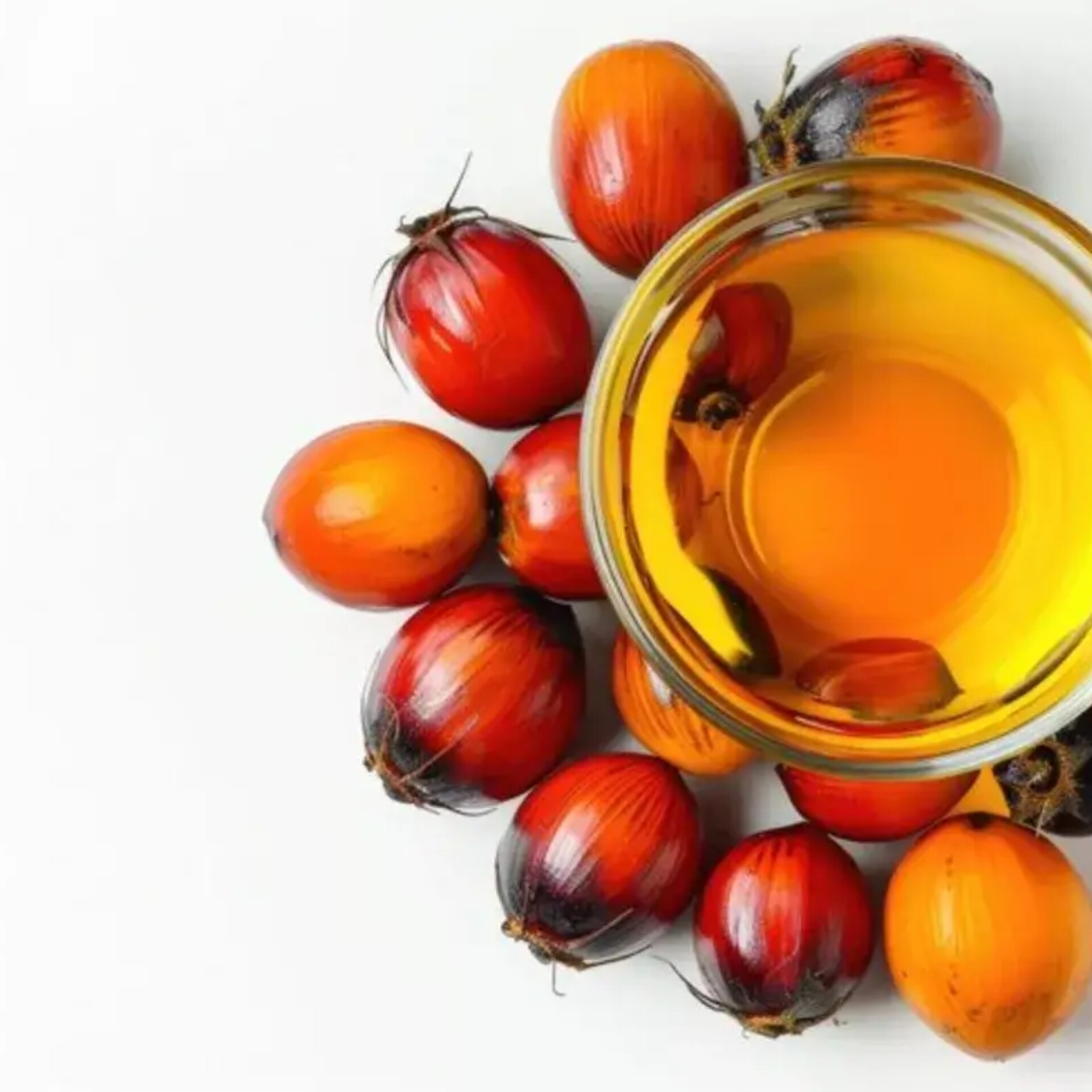 أسعار زيت النخيل المكرر في لبنان