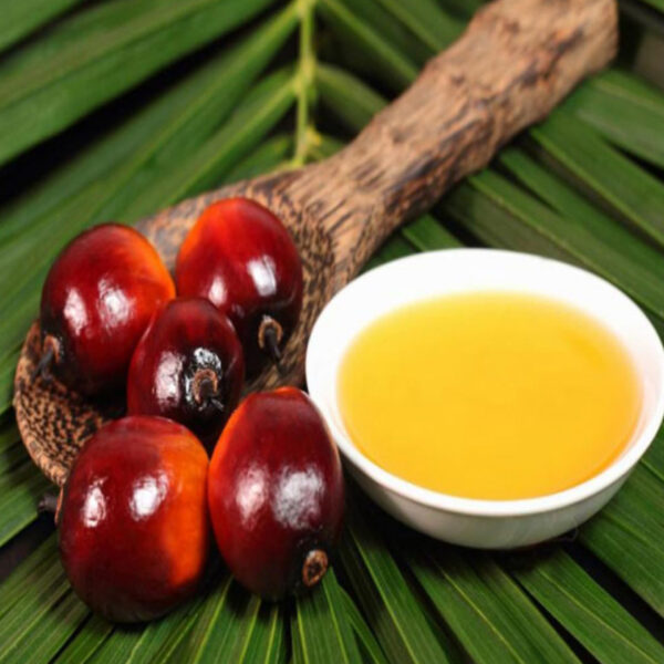 أسعار زيت النخيل المكرر في لبنان