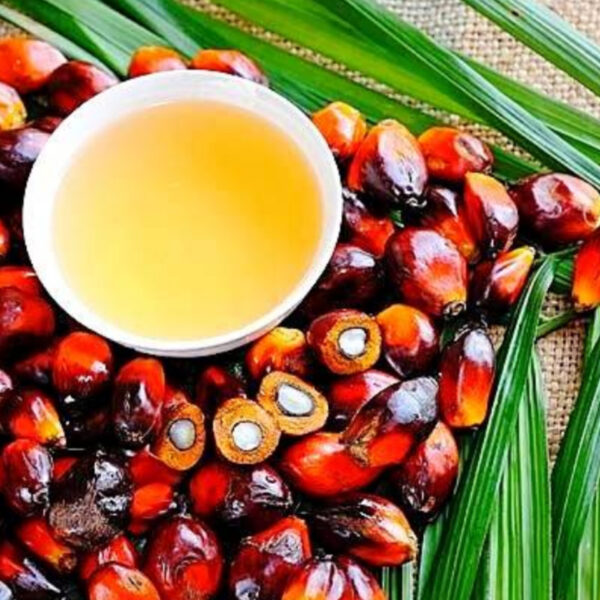 أسعار زيت النخيل المكرر في لبنان