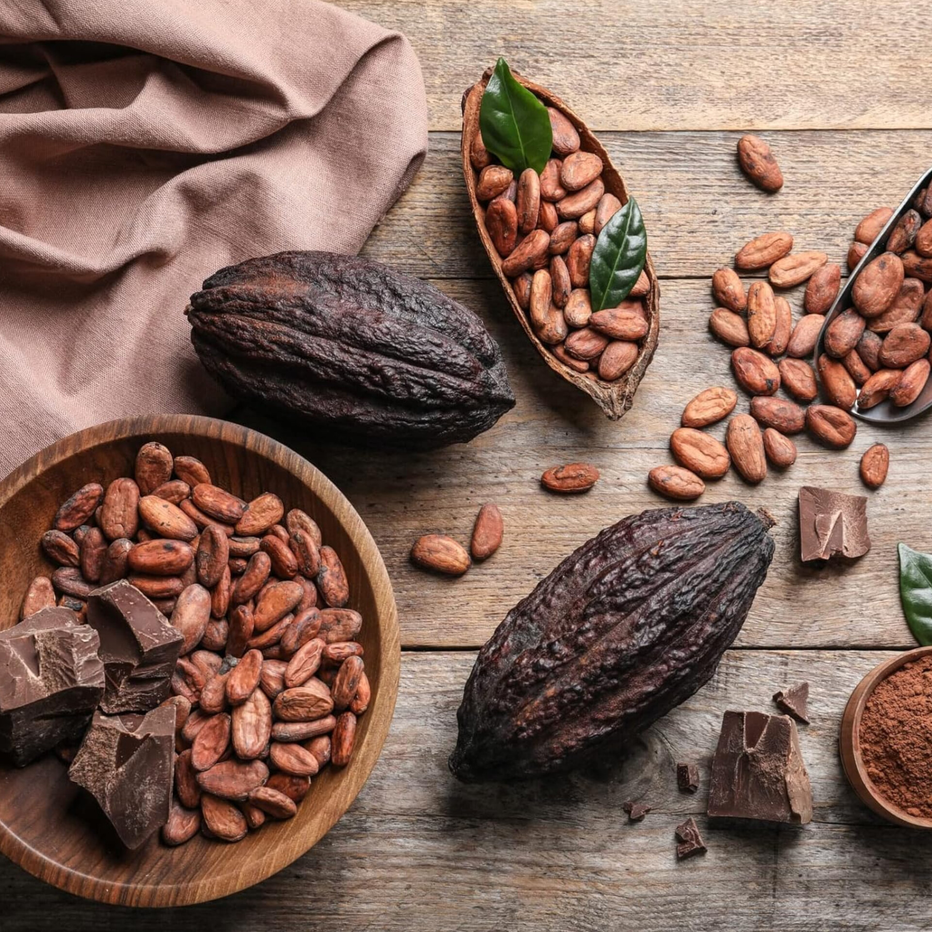 موزع مسحوق الكاكاو القلوي – ماركة JB Cocoa | جودة تصنيع الشوكولاتة