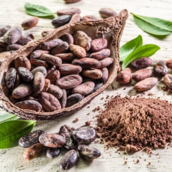 موزع مسحوق الكاكاو القلوي – ماركة JB Cocoa | جودة تصنيع الشوكولاتة