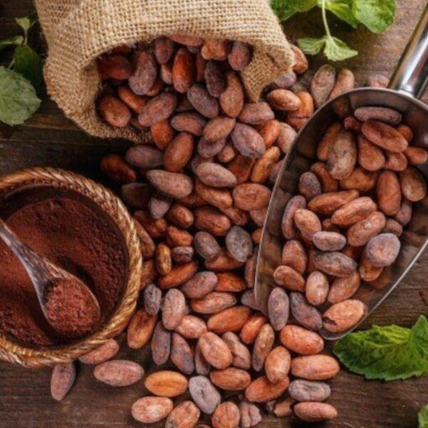 موزع مسحوق الكاكاو القلوي – ماركة JB Cocoa | جودة تصنيع الشوكولاتة