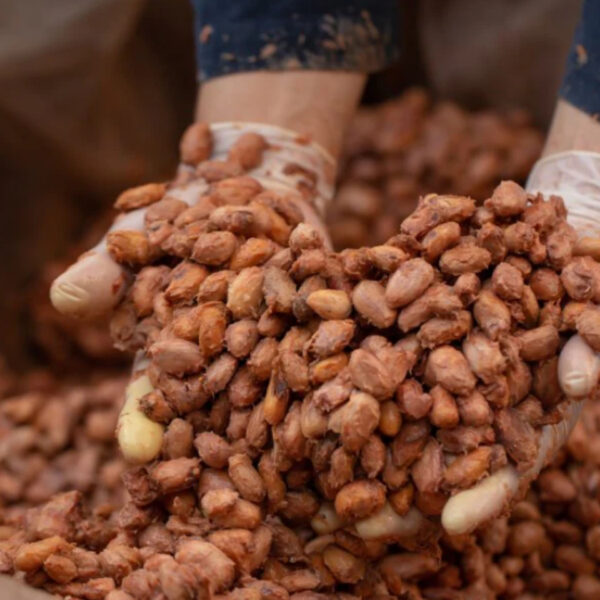 بيع زبدة الكاكاو الطبيعية – ماركة Cargill | استيراد بضمان الجودة