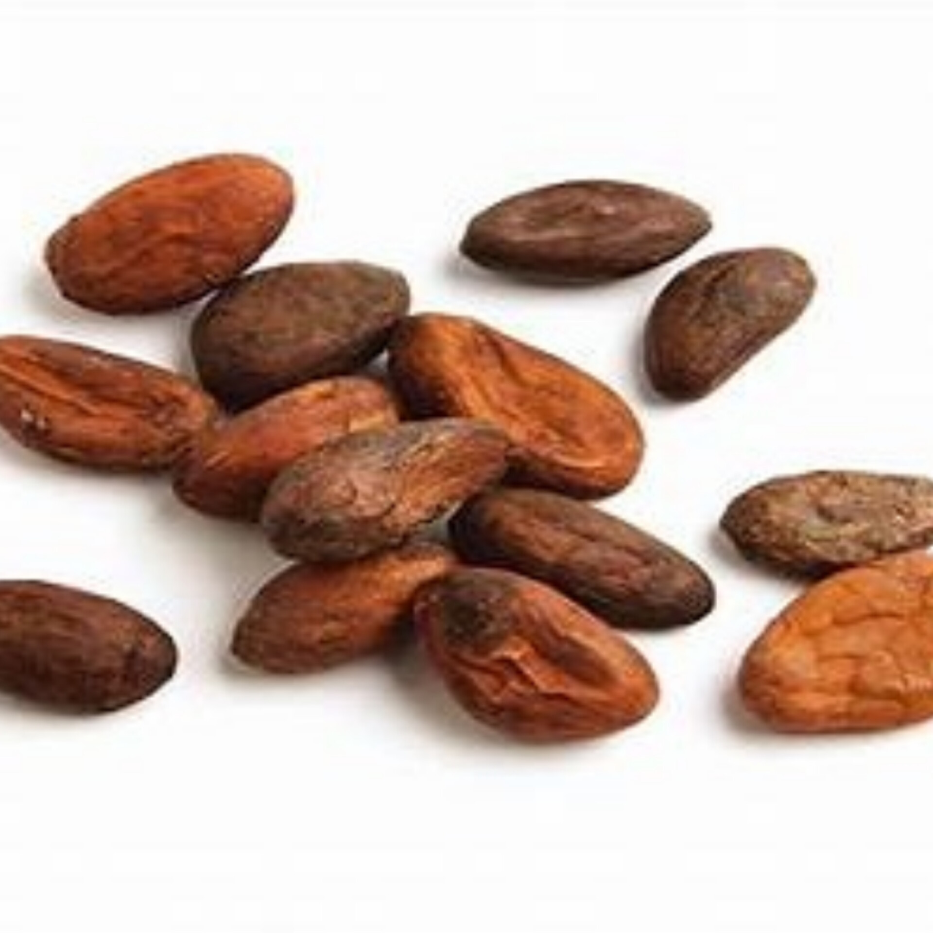 بيع زبدة الكاكاو الطبيعية – ماركة Cargill | استيراد بضمان الجودة