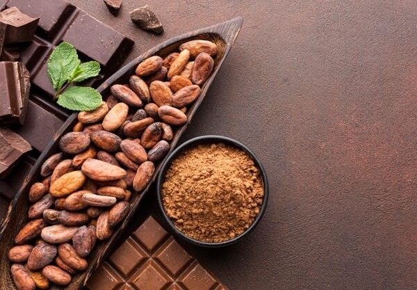 كيف تختار بودرة كاكاو عالية الجودة؟