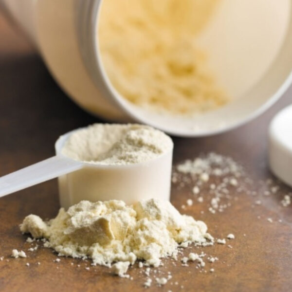 بروتين الحليب للمكملات الغذائية – أفضل بروتين للمعجنات في الكويت