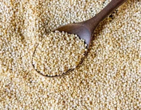 بودرة البروتين النباتي 