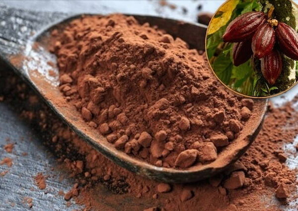 بودرة كاكاو تركية بالجملة في اليمن