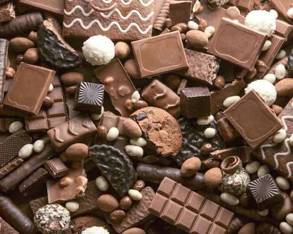 بودرة كاكاو لتصنيع الشوكولاتة البريميوم